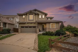 10547 Laurelglen Cir, Highlands Ranch, CO 80130 - Photo 29