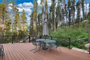 46 Apache Rd, Evergreen, CO 80439 - Photo 45
