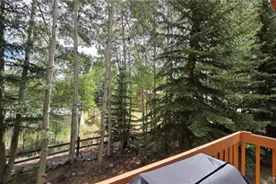 600 S 5th Ave, Frisco, CO 80443 - Photo 13