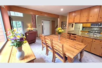 600 S 5th Avenue, Frisco, CO 80443 - Photo 15