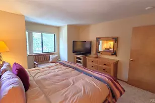600 S 5th Ave, Frisco, CO 80443 - Photo 39