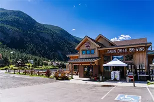 2115 Hummingbird Way, Georgetown, CO 80444 - Photo 25