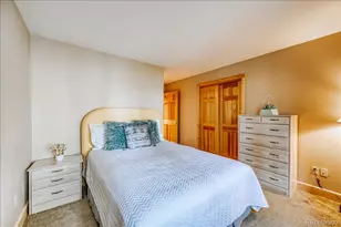99 Primrose Ln, Keystone, CO 80435 - Photo 23