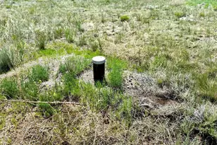 1888 19th Trl, Cotopaxi, CO 81223 - Photo 1