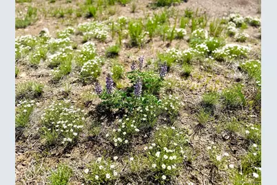 1888 19th Trail, Cotopaxi, CO 81223 - Photo 3