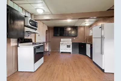 43070 N County Road 397, Granite, CO 81228 - Photo 11