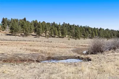 1819 Nova Road, Pine, CO 80470 - Photo 39