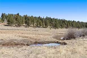 1819 Nova Rd, Pine, CO 80470 - Photo 39