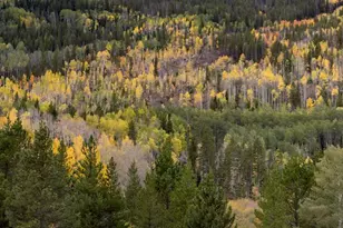 500 Bills Ranch Rd, Frisco, CO 80443 - Photo 39