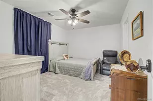 12648 Canoe St, Longmont, CO 80504 - Photo 27
