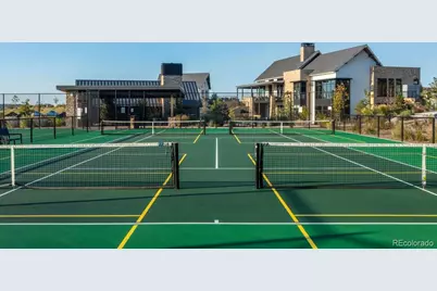 131 Leafy Aster Lane, Castle Rock, CO 80104 - Photo 41