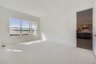 131 Leafy Aster Ln, Castle Rock, CO 80104 - Photo 11