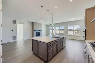 131 Leafy Aster Lane, Castle Rock, CO 80104 - Photo 9