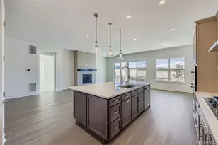 131 Leafy Aster Ln, Castle Rock, CO 80104 - Photo 9