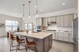 131 Leafy Aster Ln, Castle Rock, CO 80104 - Photo 9