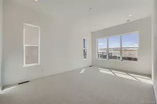 131 Leafy Aster Ln, Castle Rock, CO 80104 - Photo 13