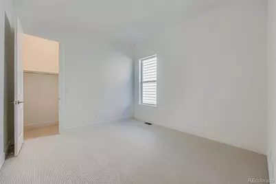 131 Leafy Aster Lane, Castle Rock, CO 80104 - Photo 19