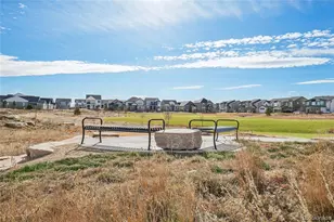 5672 Jedidiah Dr, Timnath, CO 80547 - Photo 39