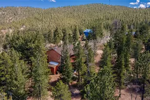 51 Schooley Rd, Bailey, CO 80421 - Photo 29