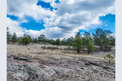 54 Ute Circle, Florissant, CO 80816 - Photo 15