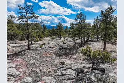 54 Ute Circle, Florissant, CO 80816 - Photo 7