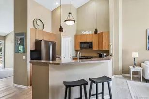 8546 Gold Peak Ln, Highlands Ranch, CO 80130 - Photo 5