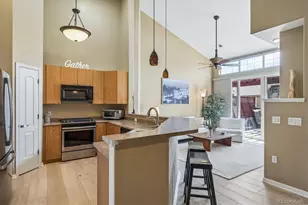 8546 Gold Peak Ln, Highlands Ranch, CO 80130 - Photo 9