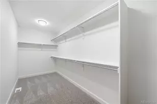 3885 Aspen Hollow Ct, Castle Rock, CO 80104 - Photo 23