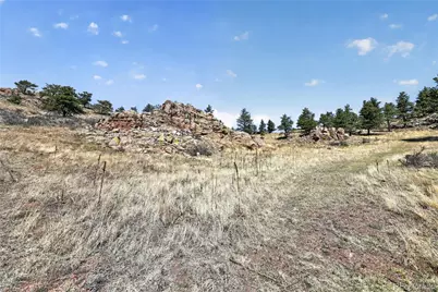 1209 Linecamp Drive, Livermore, CO 80536 - Photo 47