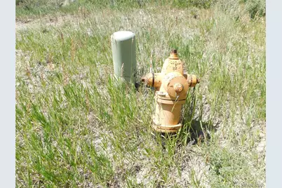 5760 Country Club Drive, Larkspur, CO 80118 - Photo 7