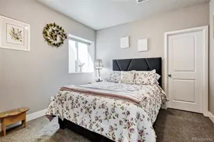 8901 S Ukraine Ct, Aurora, CO 80016 - Photo 27