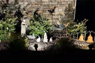 8901 S Ukraine Ct, Aurora, CO 80016 - Photo 37