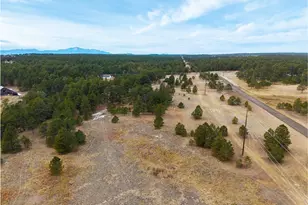 12015 Grandin, Elbert, CO 80106 - Photo 1