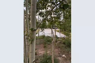 Sunshine Loop, Fairplay, CO 80440 - Photo 3