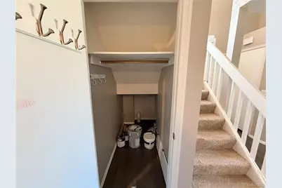 862 Summer Drive, Highlands Ranch, CO 80126 - Photo 17