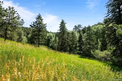 5211 Parmalee Gulch Road, Indian Hills, CO 80454 - Photo 33