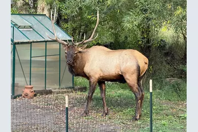 5211 Parmalee Gulch Road, Indian Hills, CO 80454 - Photo 43