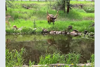 5211 Parmalee Gulch Road, Indian Hills, CO 80454 - Photo 37