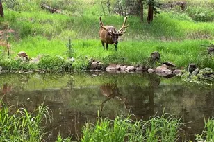 5211 Parmalee Gulch Rd, Indian Hills, CO 80454 - Photo 37