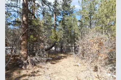1025 Tenderfoot Drive, Larkspur, CO 80118 - Photo 3