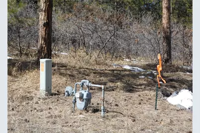 1025 Tenderfoot Drive, Larkspur, CO 80118 - Photo 5