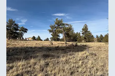 Oak Street, Hartsel, CO 80449 - Photo 5