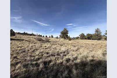 Oak Street, Hartsel, CO 80449 - Photo 3