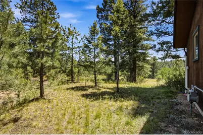 31280 Florence Road, Conifer, CO 80433 - Photo 33