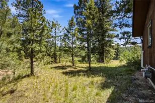 31280 Florence Rd, Conifer, CO 80433 - Photo 33
