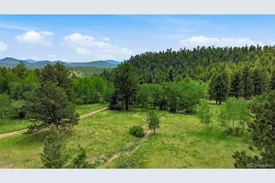 31280 Florence Road, Conifer, CO 80433 - Photo 47
