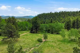 31280 Florence Rd, Conifer, CO 80433 - Photo 47