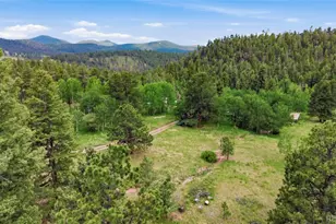 31280 Florence Rd, Conifer, CO 80433 - Photo 41