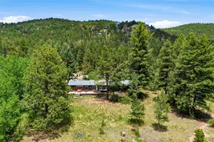 31280 Florence Rd, Conifer, CO 80433 - Photo 43