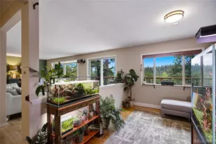 31280 Florence Rd, Conifer, CO 80433 - Photo 5